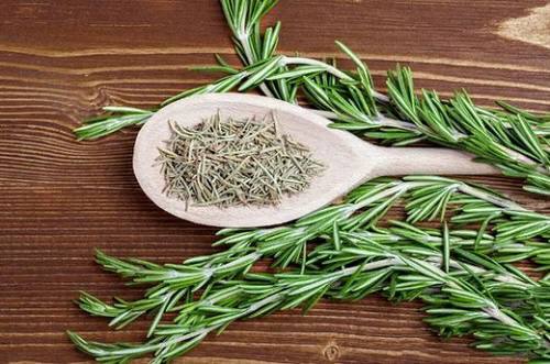 Neuvěřitelný přínos rozmarýnu